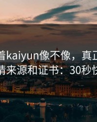 别只盯着kaiyun像不像，真正要看的是群邀请来源和证书：30秒快速避坑