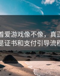 别只盯着爱游戏像不像，真正要看的是证书和支付引导流程