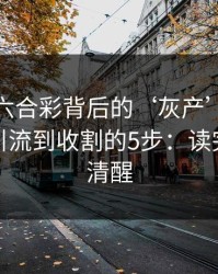 新澳门六合彩背后的‘灰产’怎么运作：从引流到收割的5步：读完你会更清醒