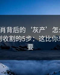 十二生肖背后的‘灰产’怎么运作：从引流到收割的5步：这比你想的更重要