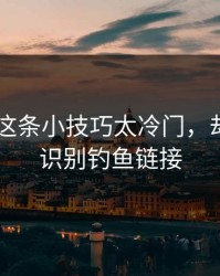 kaiyun这条小技巧太冷门，却能立刻识别钓鱼链接