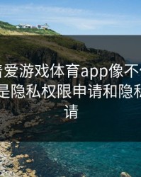别只盯着爱游戏体育app像不像，真正要看的是隐私权限申请和隐私权限申请
