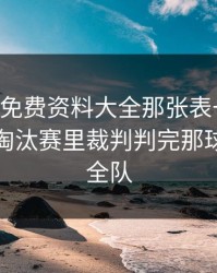 49图库免费资料大全那张表一对照，世界杯淘汰赛里裁判判完那球，热火全队