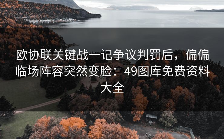 欧协联关键战一记争议判罚后，偏偏临场阵容突然变脸：49图库免费资料大全