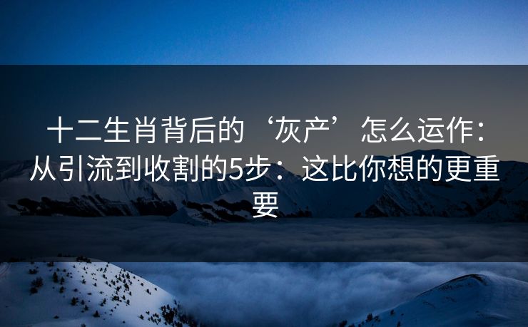 十二生肖背后的‘灰产’怎么运作：从引流到收割的5步：这比你想的更重要