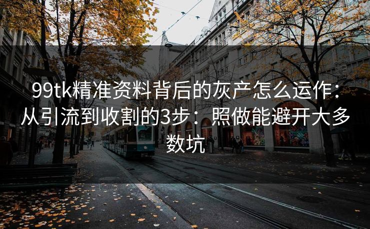 99tk精准资料背后的灰产怎么运作：从引流到收割的3步：照做能避开大多数坑