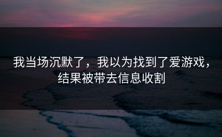 我当场沉默了,我以为找到了爱游戏,结果被带去信息收割 我当场沉默了,我以为找到了爱游戏,结果被带去信息收割